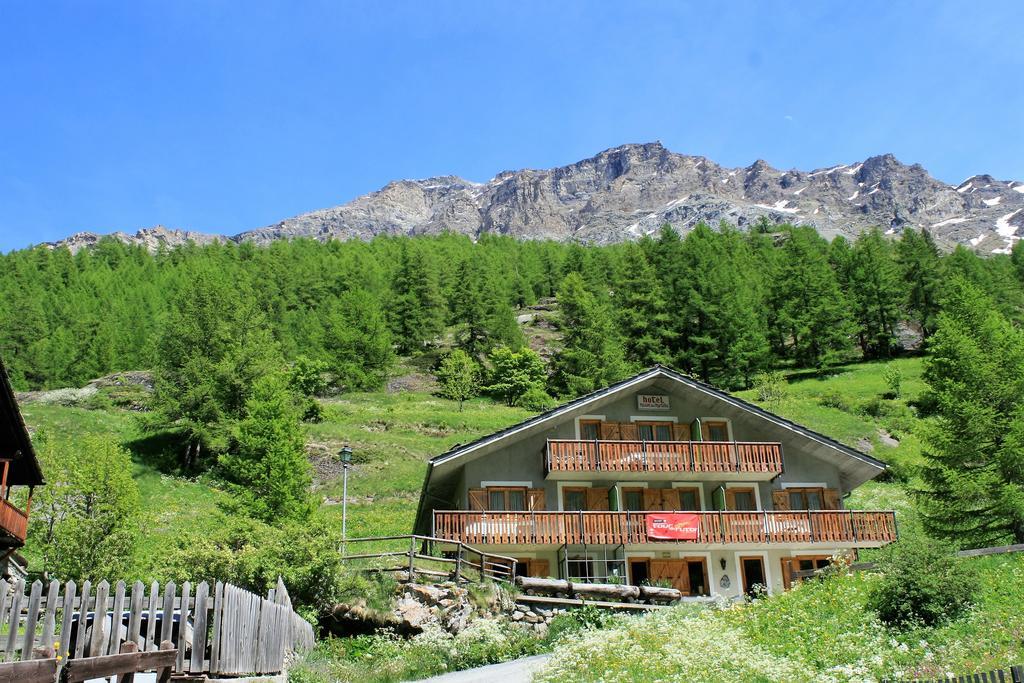 Hotel Maison Des Myrtilles Valgrisenche Exteriér fotografie