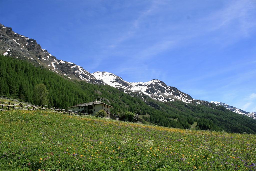 Hotel Maison Des Myrtilles Valgrisenche Exteriér fotografie