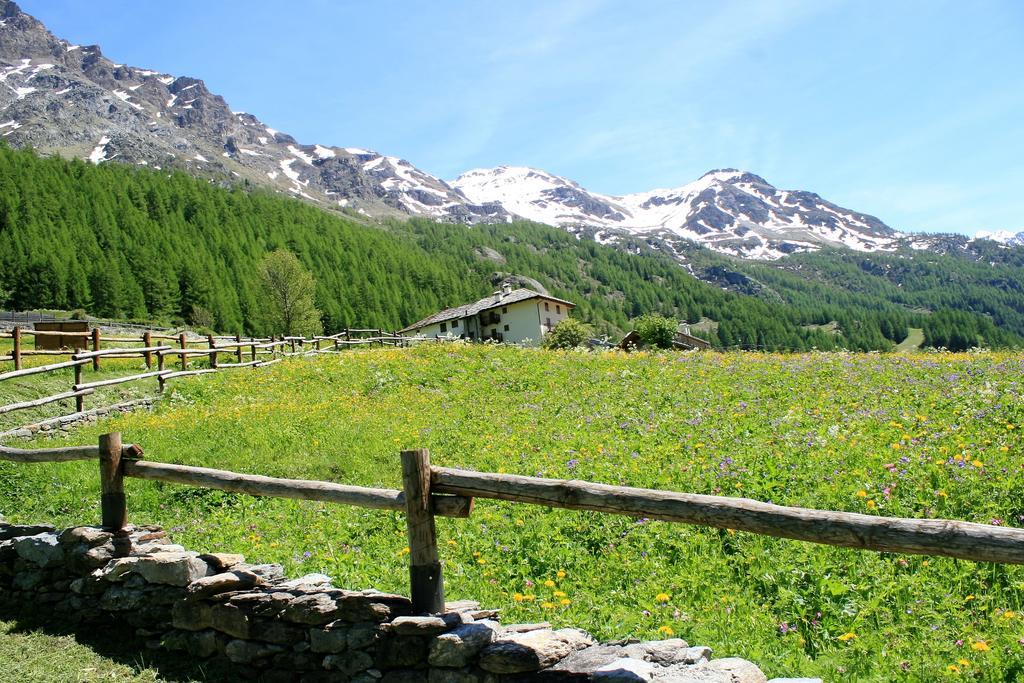 Hotel Maison Des Myrtilles Valgrisenche Exteriér fotografie